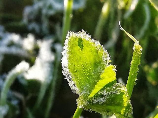 11月21日至23日天气预报：强冷空气来袭，降温雨雪明显。  -图2