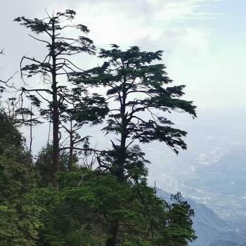 峨眉山之行（建议大家收藏，攻略写在最后）  -图8