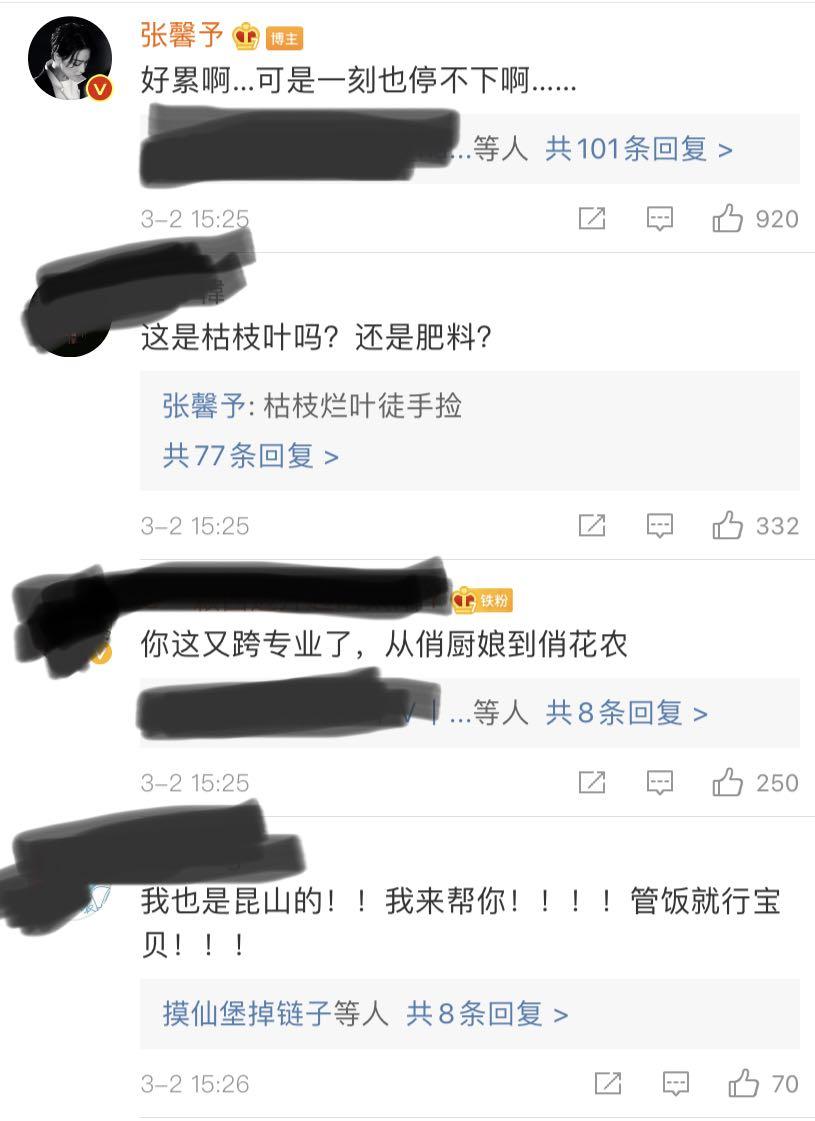 张馨予微博营业，晒照徒手捡枯叶，称农活太多干不完  -图4