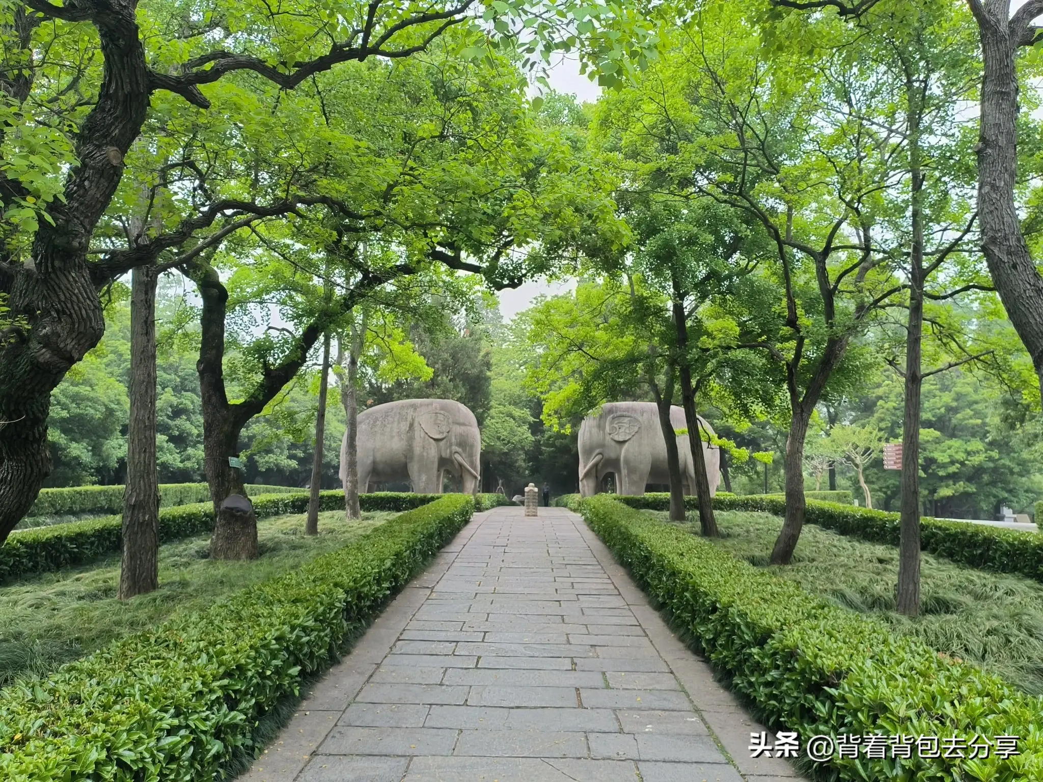 赏古韵，游金陵，南京小众景点一日游  -图4