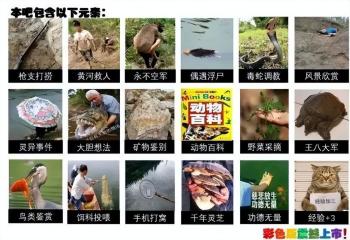 100个最火贴吧的今生前世系列之：钓鱼吧  -图18