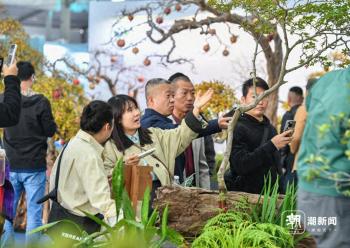 金东区：花博会来了  -图1