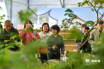 金东区：花博会来了  -图3