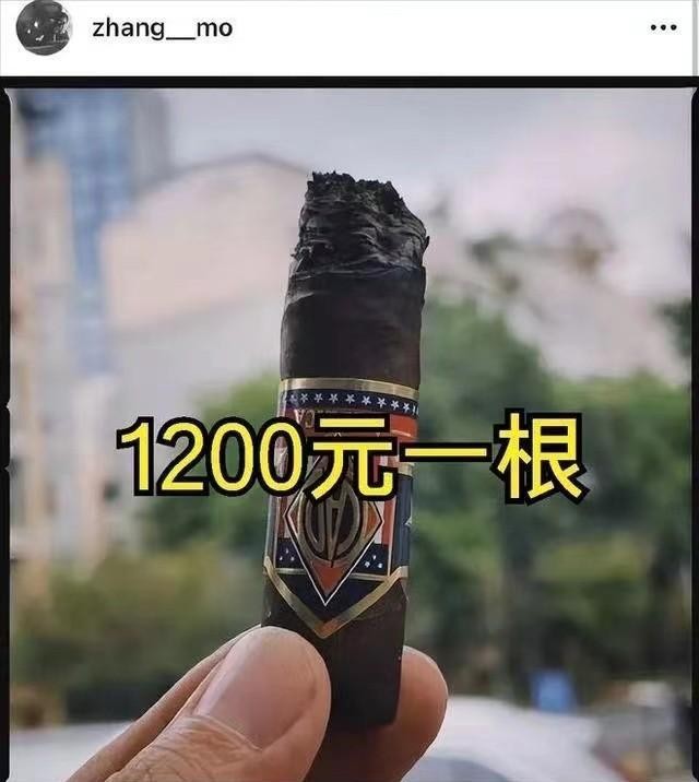 张默现状曝光，终于明白，邓婕这些的牺牲全部费了  -图20