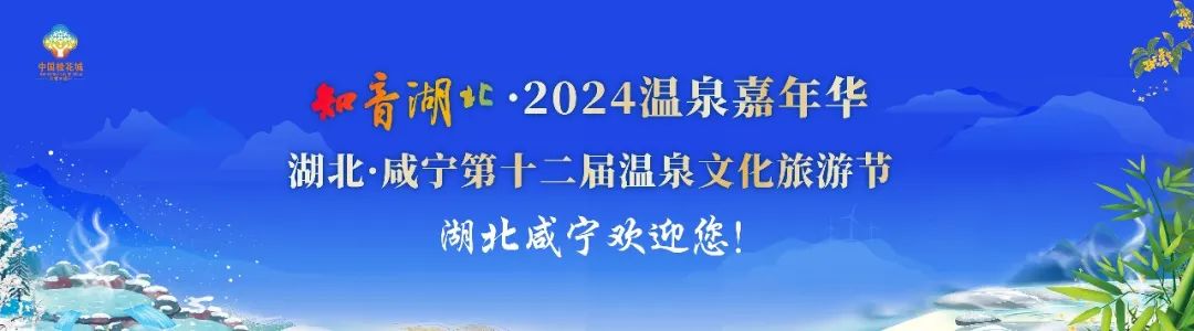 咸宁以精管善治“绣”美公园城市  -图2